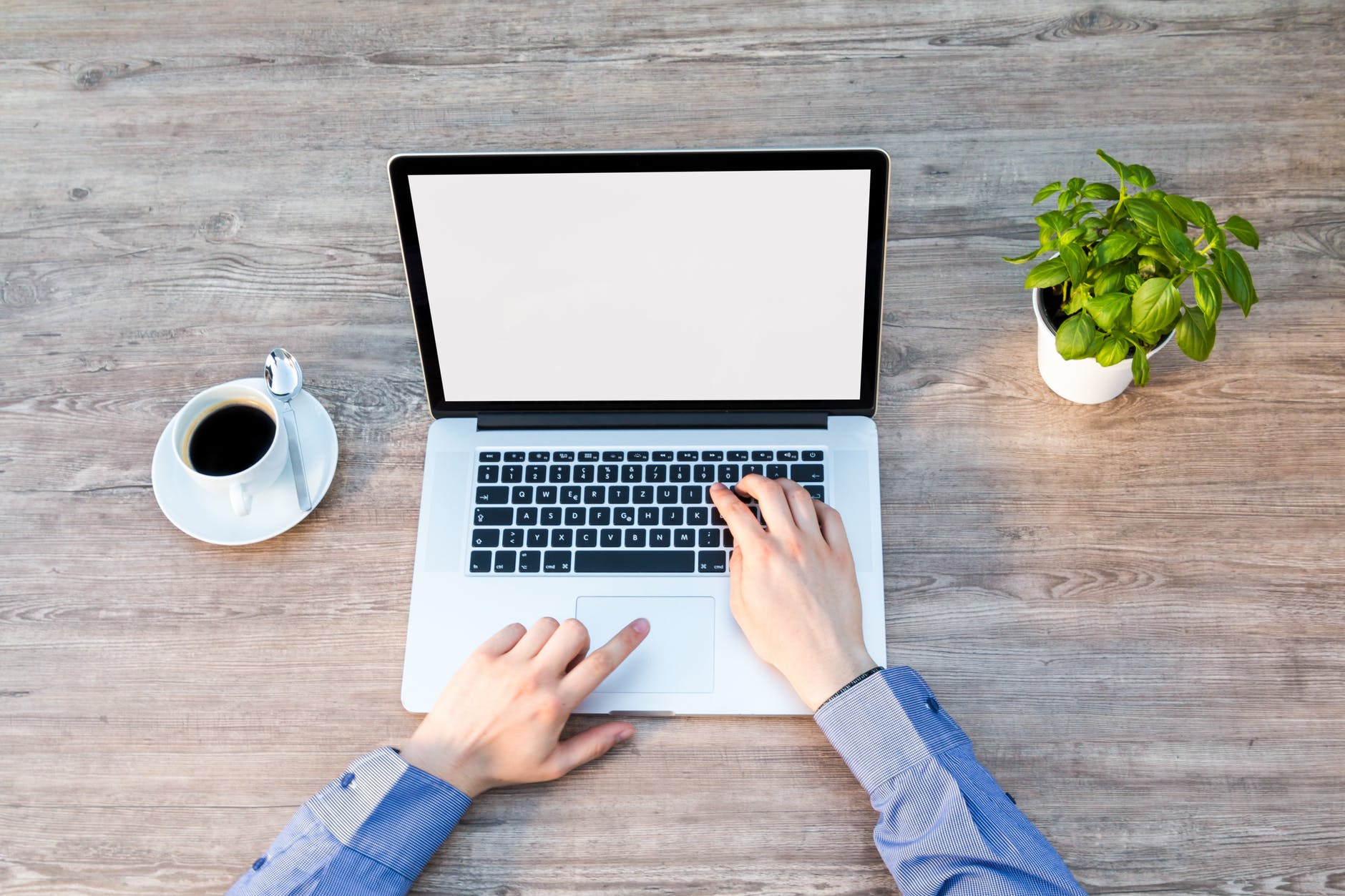 Web Development
